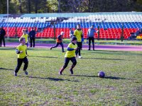 игры 10.05